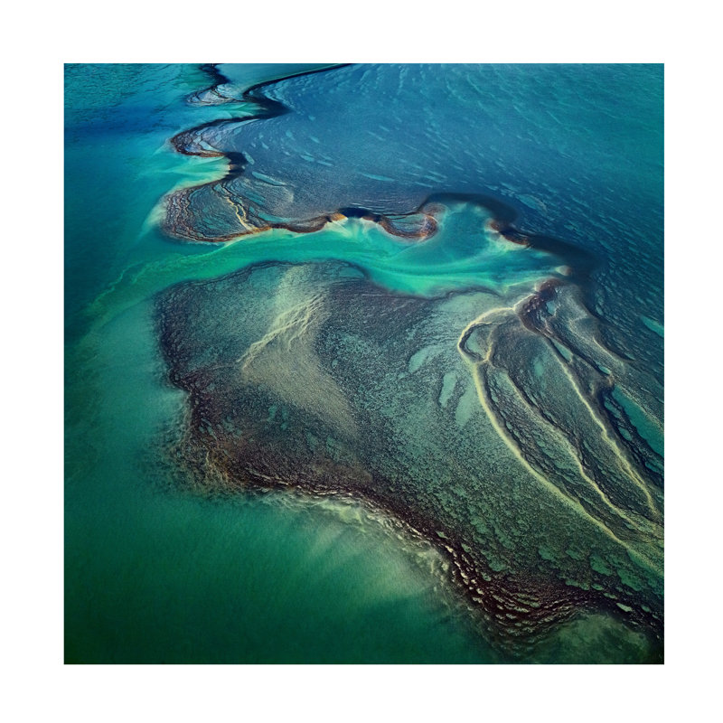 Sheldon Pettit Montgomery Reef Canvas Art, H 14 po x l 14 po
