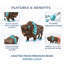 Figurine en résine Buffalo