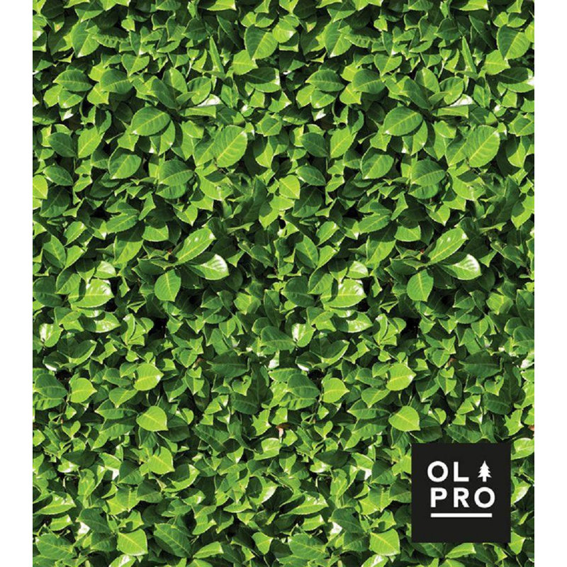 OLPRO Green Fabric Side Wall