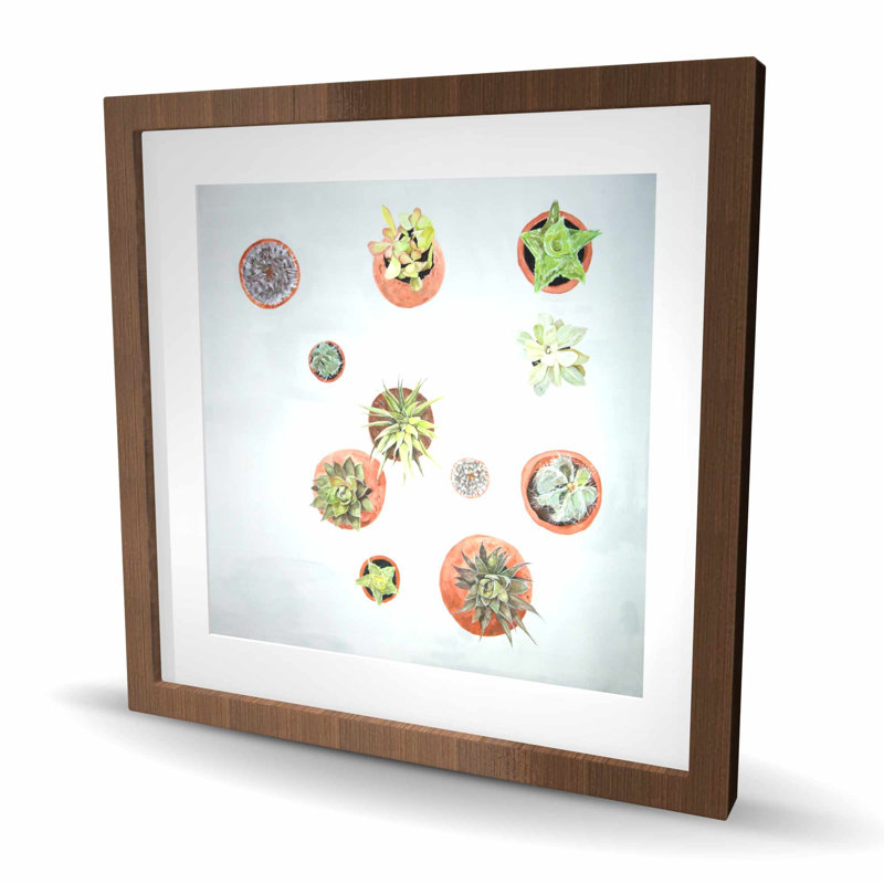 Cactus Plants - Hygge, H 24 po x l 24 po