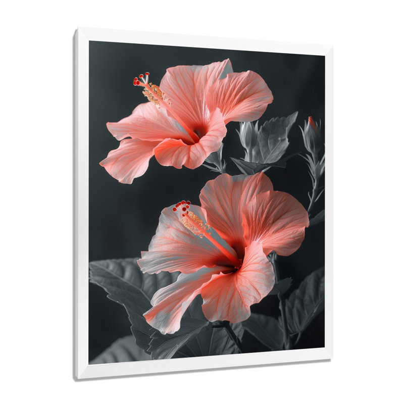 Hibiscus rose, gris, tropical, tentation - Hibiscus, Cadre simple blanc, H 34 po x l 44 po