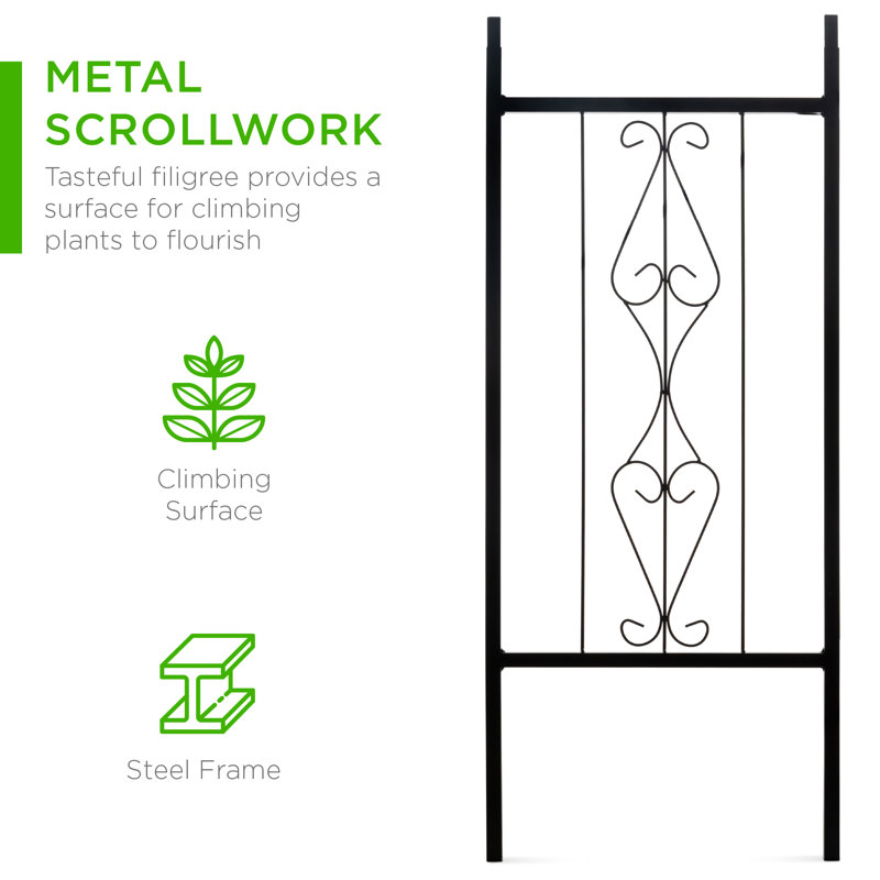 Black Steel Garden Arch Arbor with Wire Lattice for Climbing Plants