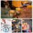 Unscented Flameless Candle Accessories