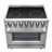 Alta Qualita Massimo 36-inch Freestanding Electric Range Stainless Steel, 5 Elements, 5.36  cu.ft. with Air Fryer