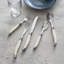 French Home Laguiole Connoisseur 20-Piece 18/10 Stainless-Steel Flatware Set With Handles-103102764