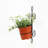 Colt Metal Wall Planter
