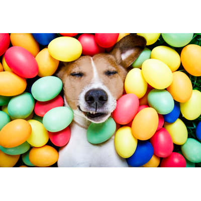 Easter Bunny Dog With Eggs by Damedeeso - Wrapped Canvas Print