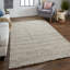 Orion Looped/Hooked Wool Oatmeal Area Rug-1880788501