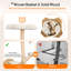 Cat Tree-705061088