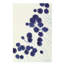 Plants VII Print by Hable Construction-26774075-26774077