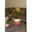 Pot à fleurs en terre cuite Edson-81852587