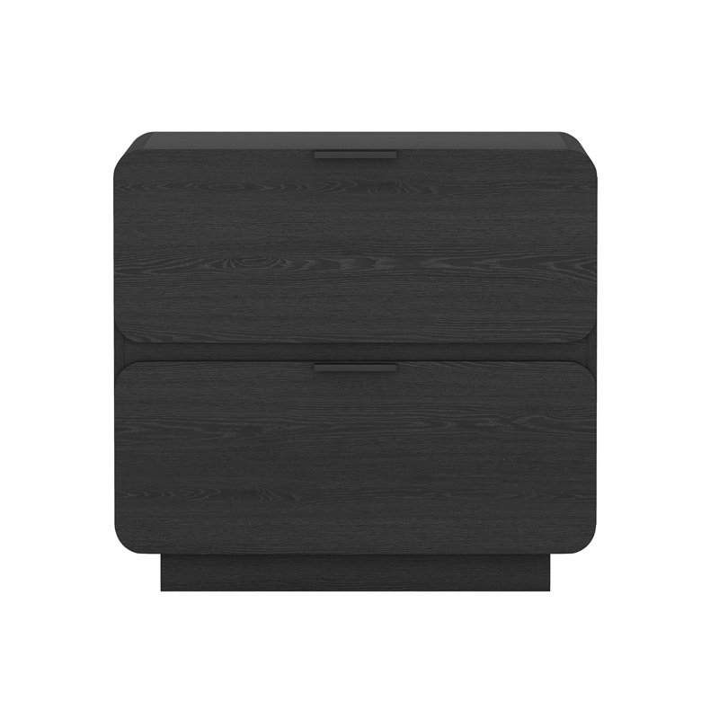 Chrystie 26" Contemporary Modern Nightstand with 2 Drawers in Black, Black