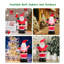 Christmas Stuffed Holiday Accent