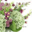 Hydrangea Arrangement With Snowballs