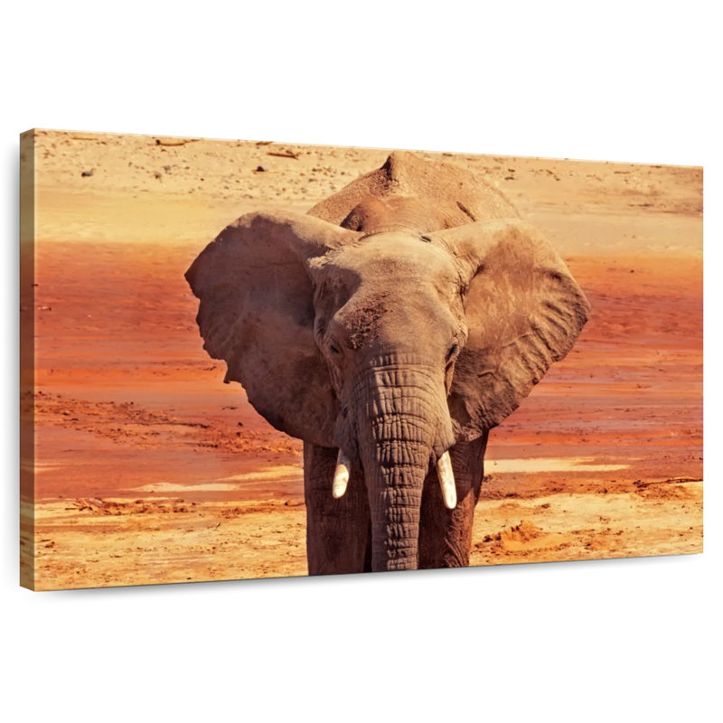 African Desert Elephant, 34" H x 51" W