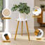 Plant Stand