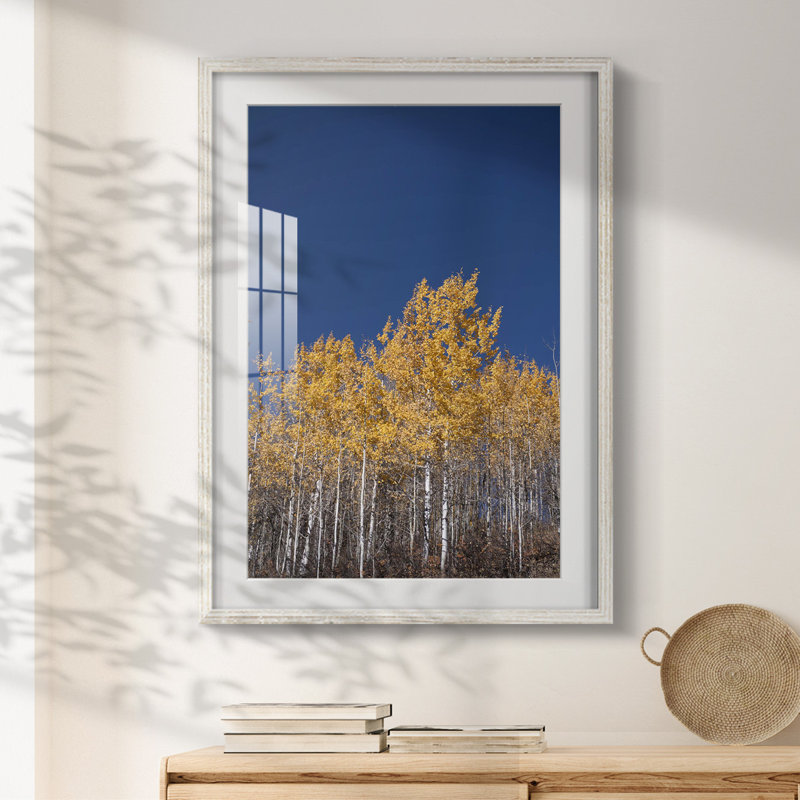 Fruit Collage I -Gallery Wrapped Canvas