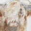 Peinture sur toile Highland Bull