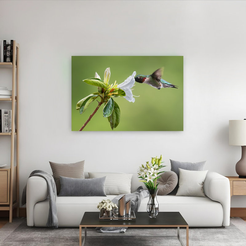 Ruby Throated Hummingbird Delicate Vibrant Abstract Hummingbird Bird Fly Flower Nature Wall Art Print by Atul Saluja - Print