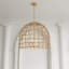 Luminaire suspendu cage 4 lumières à intensité variable de 19,69 po Robbie