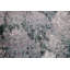 All-Over Abstract Modern Area Rug 6x9
