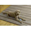 Tapis intérieur / extérieur à rayures brun clair / crème Kivett-799138708