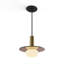 Combi 1 - Light LED Pendant