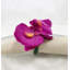 Plastique, anneau de serviette en tissu-331159672