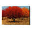 «Orange Trees II» par James Wiens, art mural sur toile-26159416