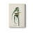 " Pl. 30 Vigors Vireo "
