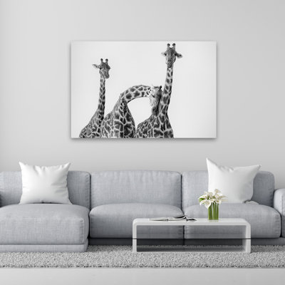 Li - Famille de girafes