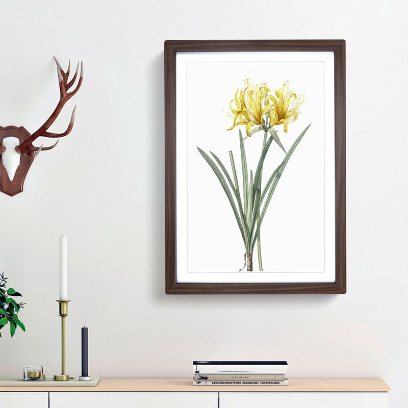 Golden Hurricane Lily by Pierre-Joseph Redoute - Picture Frame Painting Print, 65cm H x 48cm W x 2cm D, Walnut Framed