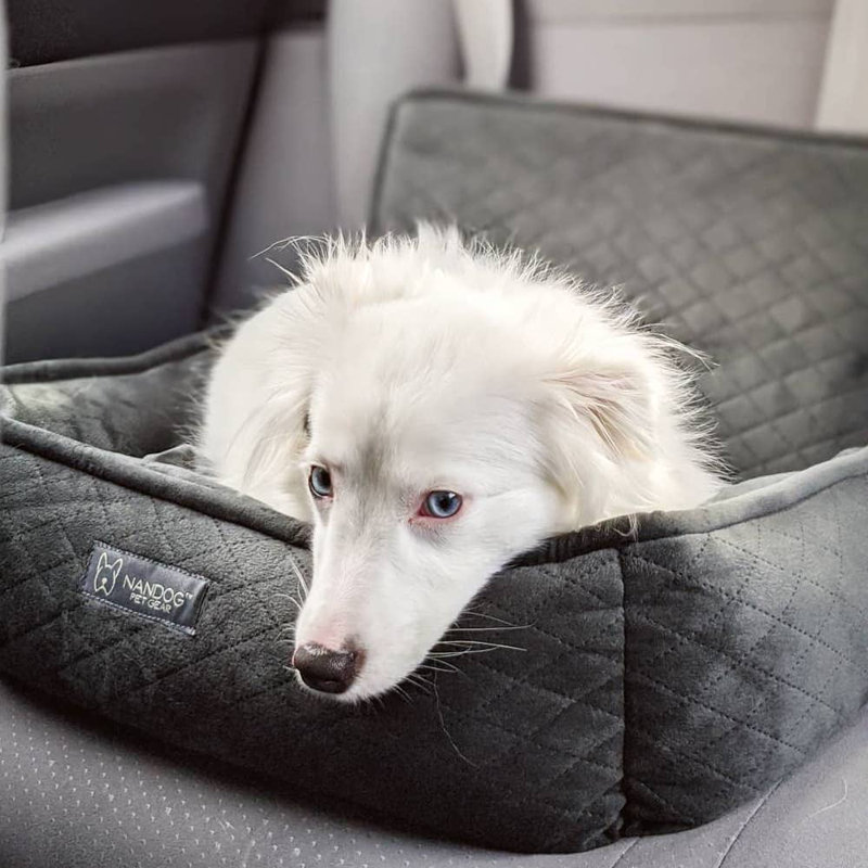Grand siège d'auto matelassé Nandog Pet Gear - gris foncé