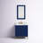 Gervais 30'' Single Bathroom Vanity with Top-2061857196-2125333823