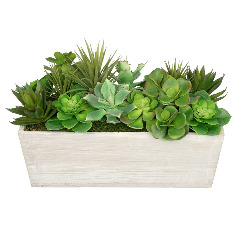 Plante grasse artificielle en pot, Crème