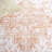 Arizona Performance Machine Washable Oriental Rug-1286688917