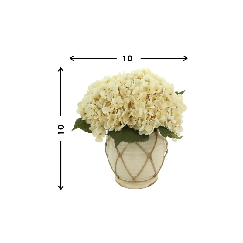 Hydrangea in Distressed Glaze Planter