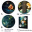 «Tropical Guitare Music Euphonic I», reproduction d'art sur toile-929683573-895442967