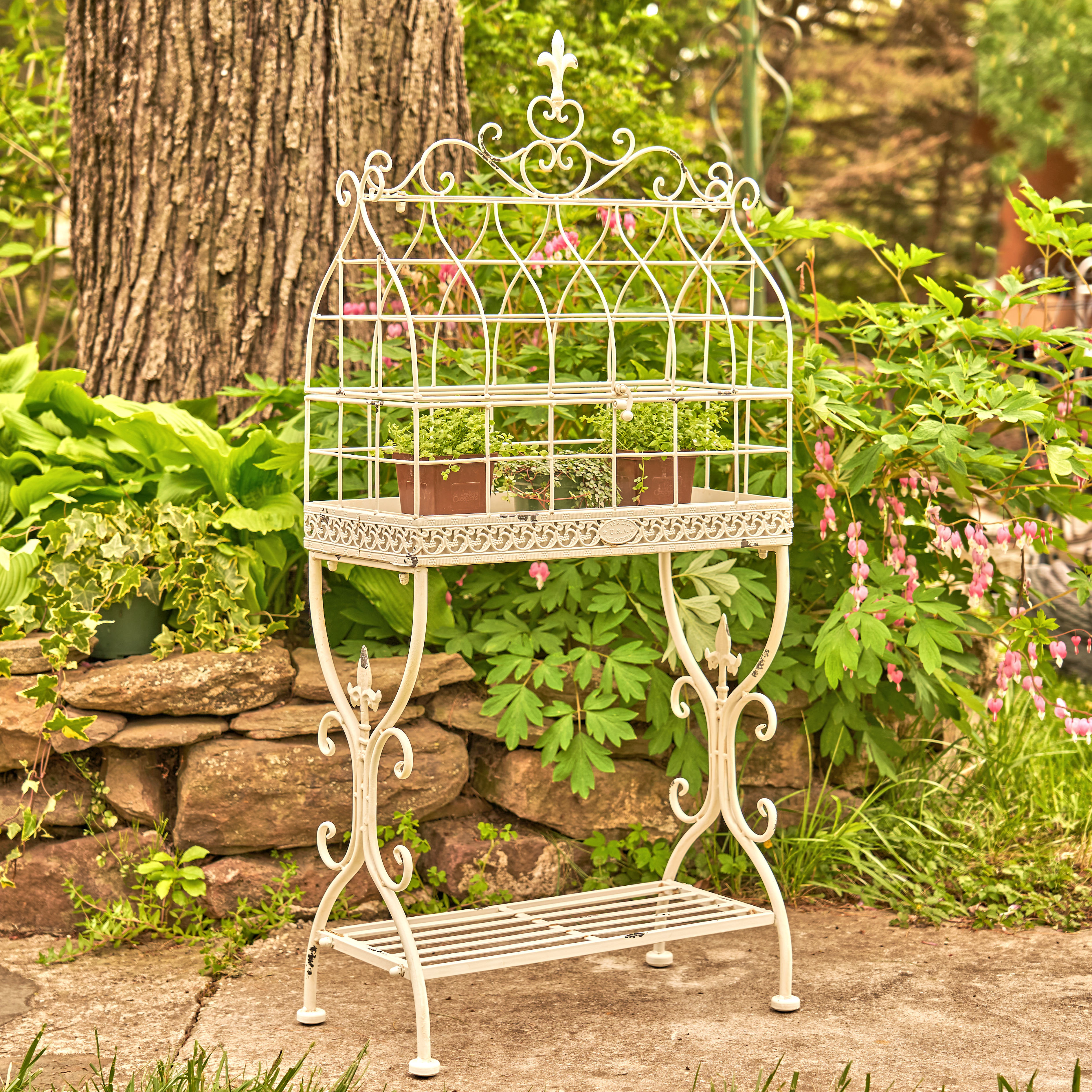 Red Barrel Studio® Paris 1968 Iron Cage Plant Stand | Wayfair