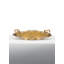 Solid Brass Decorative Tray