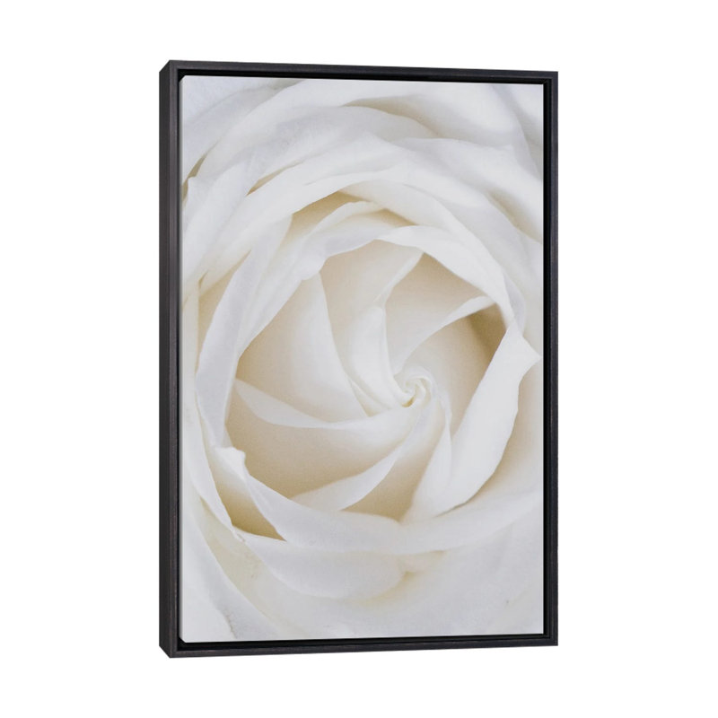 Roses blanches-reproduction de photo, Pas de tapis, H 26 po x l 18 po x 1,5 po, Toile avec cadre noir patiné
