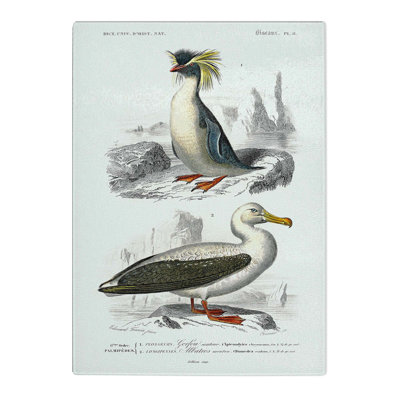 Tempered Glass Rock Penguin & Albatross by Charles D' Orbigny Chopping Board