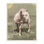 Moutons de printemps impressionnistes qui broutent un champ de verdure-66843679-66848496