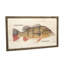 Speckled Pavon Print-517622095