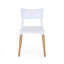 Chaise en plastique (ensemble de 2)