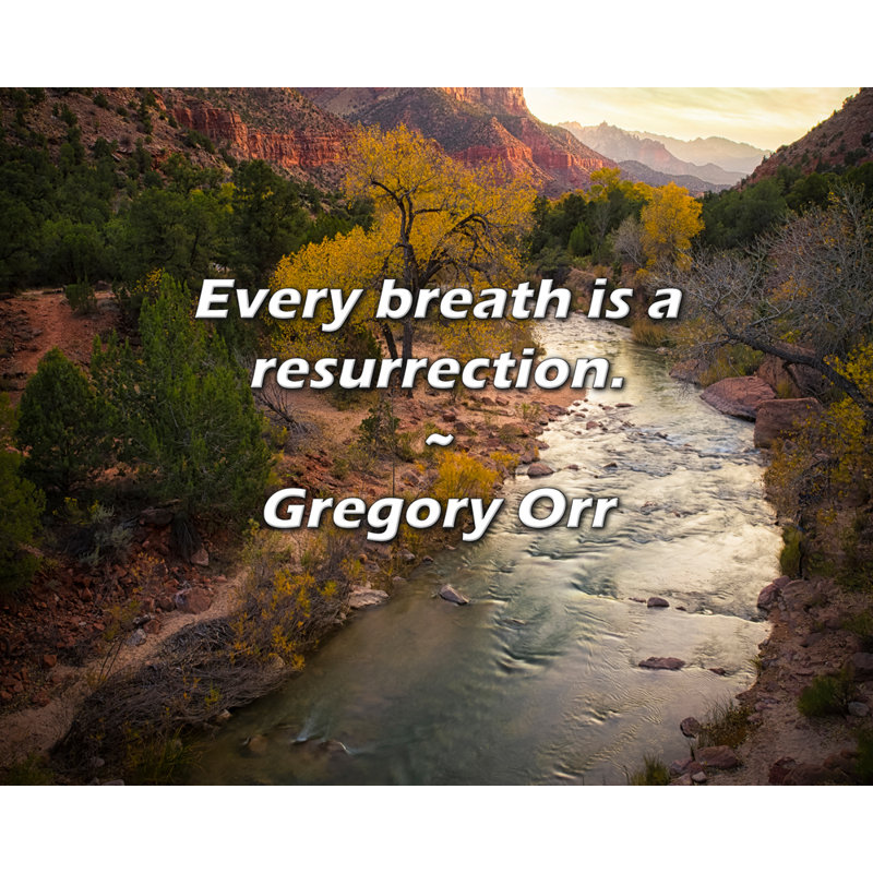 Gregory Orr Citation: Chaque souffle est une résurgence., H 20 po x l 24 po