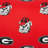 Alabama Polyester Standard-40955324
