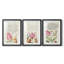 Hoefnagel Tropical Specples III - reproduction sur mesure encadrée de qualité supérieure - 3 pièces-1095233825-1095233827