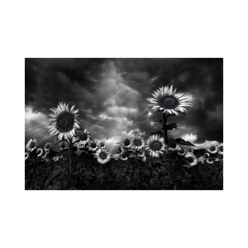 Tournesols par Fran Osuna - Toile tendue avec châssis sur toile tendue, H 18 po x l 26 po x P 0,75 po