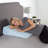 Newsoms Foam Medium Pillow-1538202439